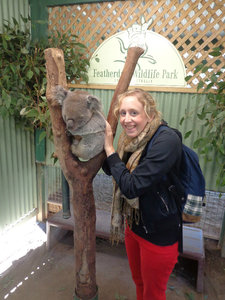 TOUCHING A KOALA!