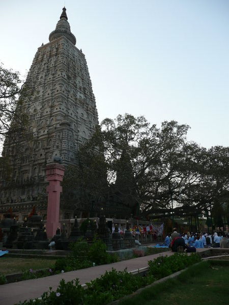 Majabodi temple and Bodhi tree