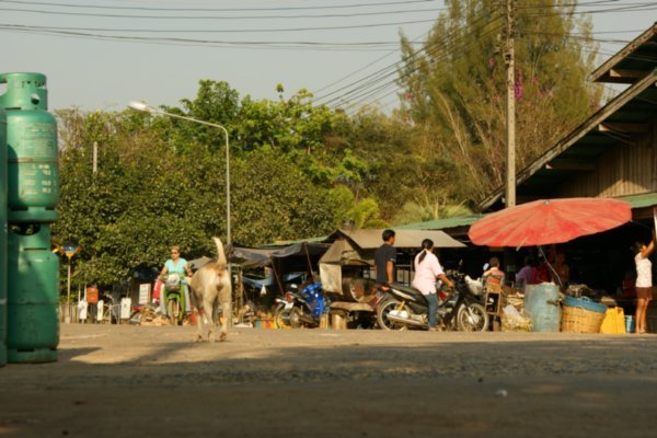 Sangkhlaburi town