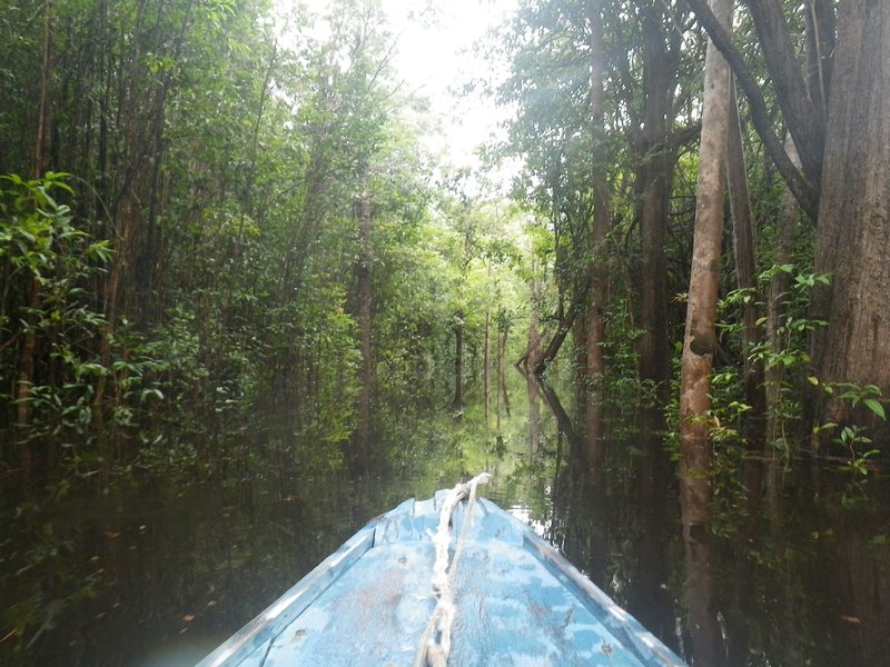  Exploring the Jungle by boat