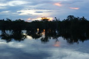 Beautiful Amazonian sunrise 2