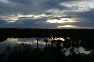 Beautiful Amazon sunset 1