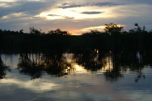Beautiful Amazon sunset 5