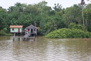 Homes along the Amazon embankment 1