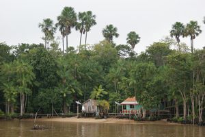 Homes along the Amazon embankment 2