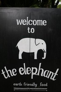 Przystanek w The Elephant Cafe - Ubud