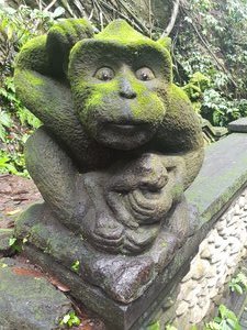 Monkey's Forest - Ubud