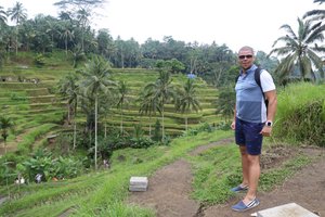 Tegalalang rice fields / pola ryzowe Tegalalang