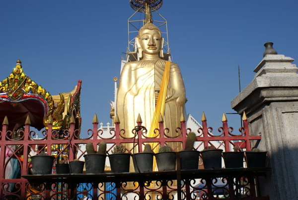 Gold budha statue