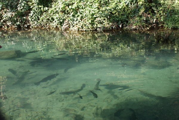 The really clear water outside the cave