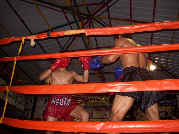 Thai boxing at the reggae bar