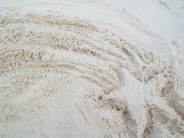 My little creation in the sand
