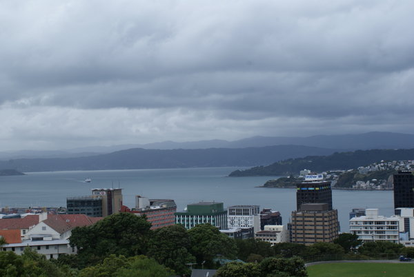 Wellington from up high