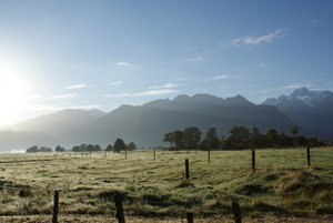 Near lake Matheson early in the morning