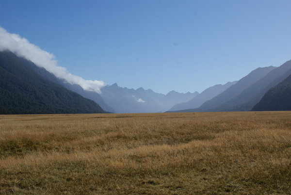 Beautiful scenery on the way to Milford sounds