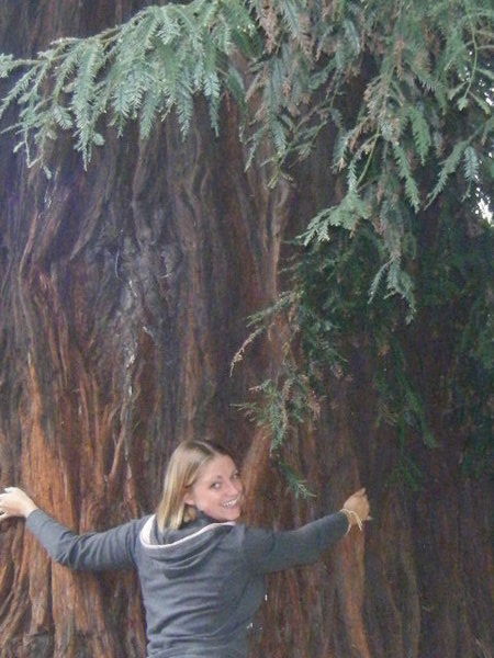 Hugging a tree in the botanical gardens in Christchurch