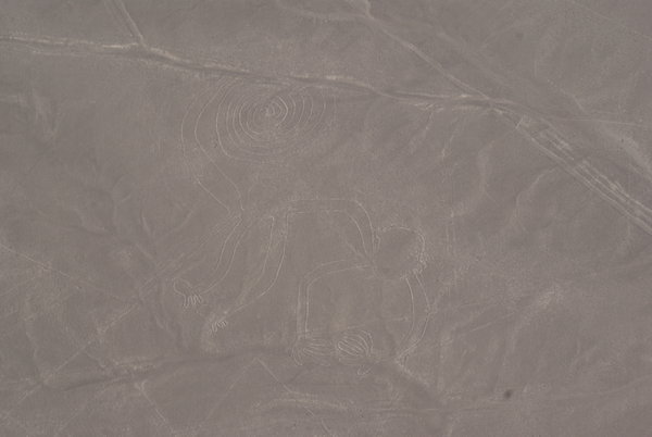 One of the nazca lines - monkey
