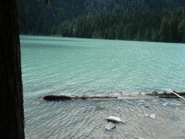 Green lakes in Whistler