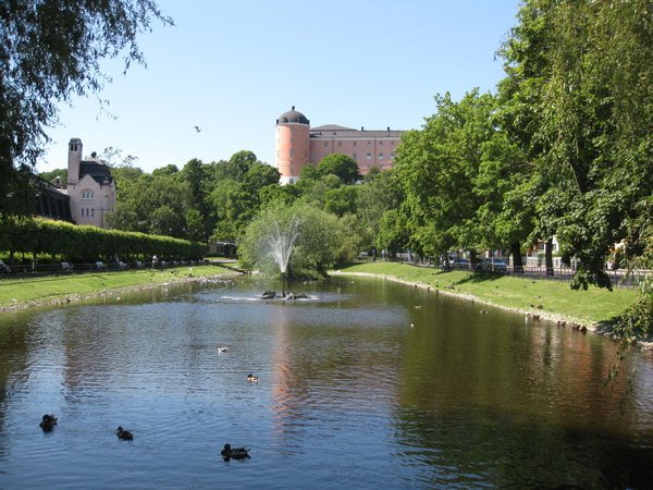 Uppsala castle