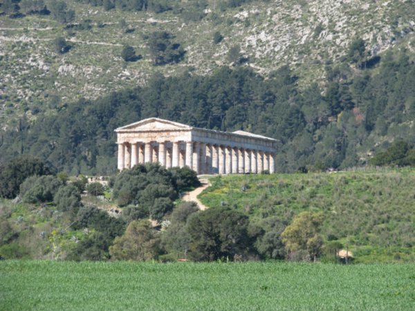 Greek Temple, Segesta
