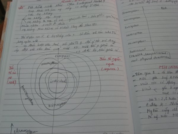 Student's notes on the ecological model