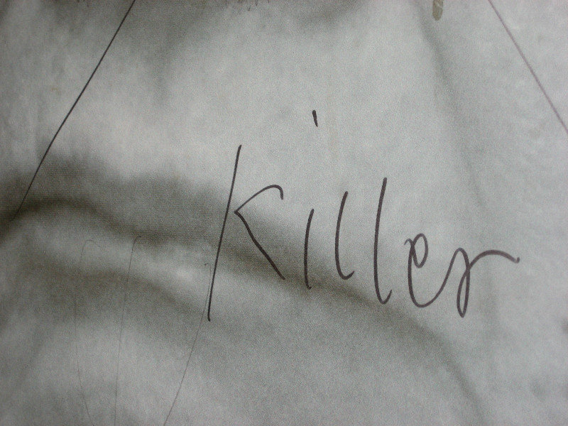 Graffito on a photo of a Khmer Rouge leader (detail)