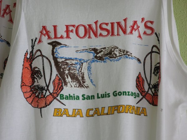 Alfonsina's
