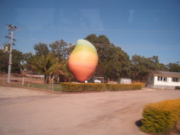 Big Mango