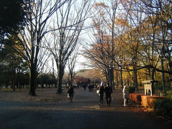 Park near Harajuku