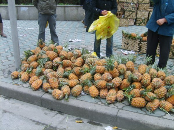 pineapples for sale