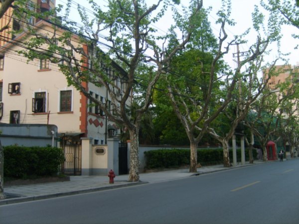 tree-lined street in the French Concession