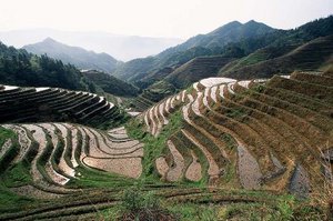 Lngji rice terraces