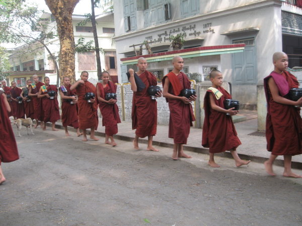 Monk's in line at Amarapuna