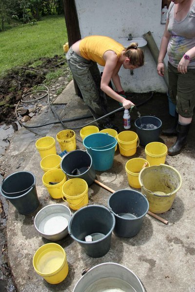 washing the feeding buckets