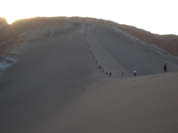 Sand Dune at Sunset