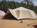 Bedouin living