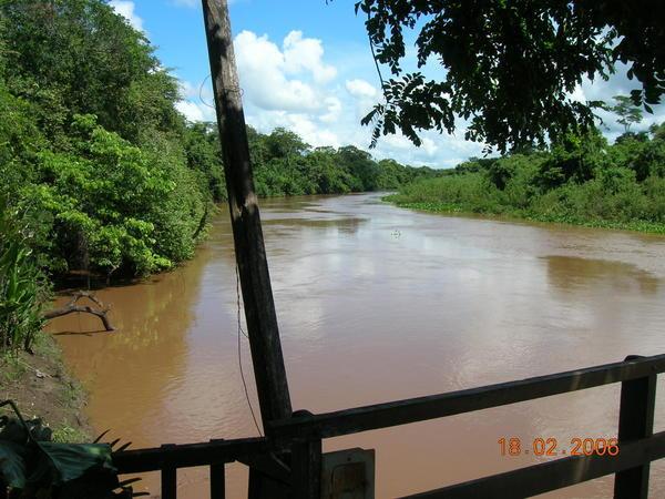 View of the miranda river at the pantanal