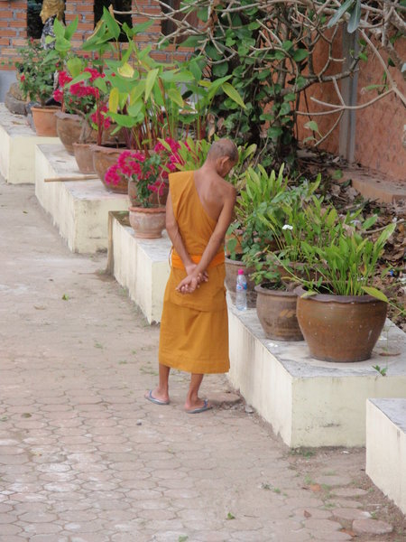 Monk tending to his container garden
