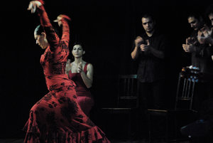 Flamenco Bailaora