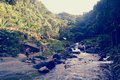Trek to Ditumabo Falls