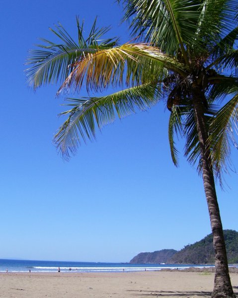 View of Playa Jaco
