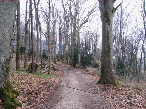 The Camino in France