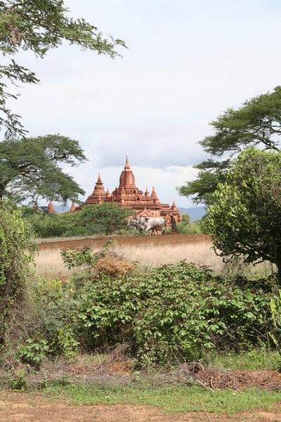 Bagan 4