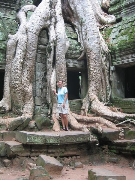 The trees taking over at Ta Prohm
