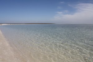 Shark Bay 