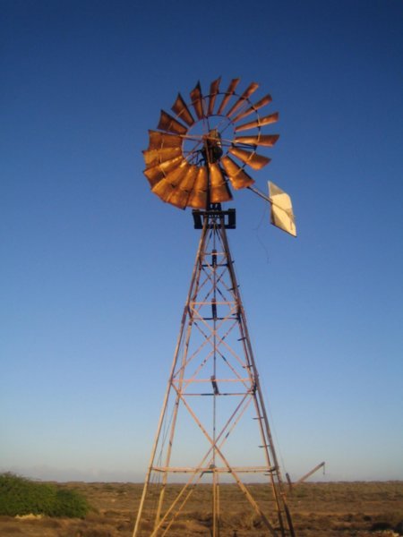 Quobba Windmill
