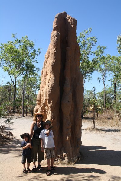 Termite mound Litchfield National Park