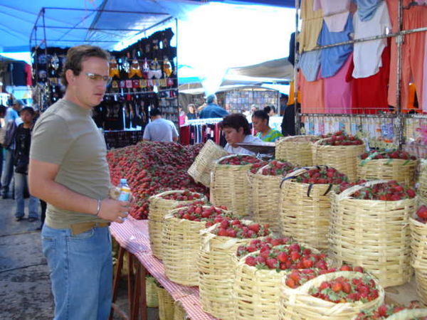 The Local Market - Tuesdays Only