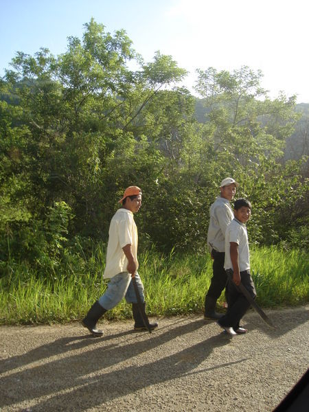 Our Trip Back to Palenque Through the Jungle