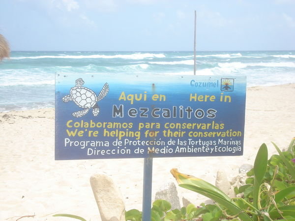 Mezcalitos Beach in Cozumel